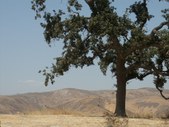Enlarge photo 73