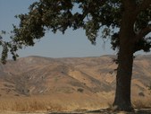 Enlarge photo 74