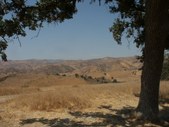 Enlarge photo 75