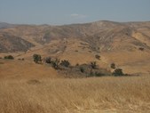 Enlarge photo 76