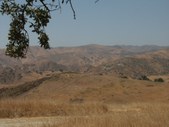 Enlarge photo 77
