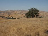Enlarge photo 78