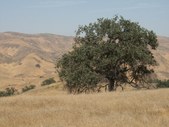 Enlarge photo 79
