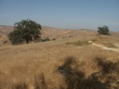 Enlarge photo 80