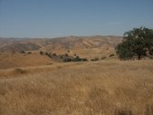 Enlarge photo 81