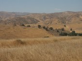 Enlarge photo 82