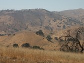 Enlarge photo 83