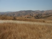 Enlarge photo 84
