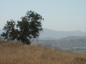Enlarge photo 85