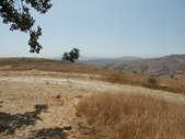 Enlarge photo 86
