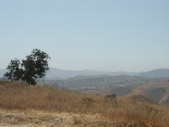 Enlarge photo 87