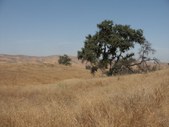 Enlarge photo 89