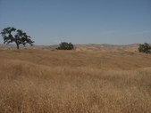 Enlarge photo 92