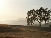 JOUGHIN RANCH
