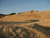 Enlarge photo 36