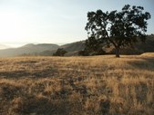 Enlarge photo 37