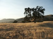 Enlarge photo 41
