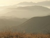 Enlarge photo 40