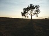Enlarge photo 57