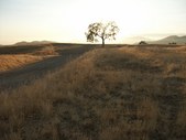 Enlarge photo 62