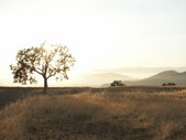 Enlarge photo 64