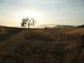 Enlarge photo 67