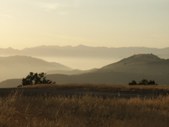 Enlarge photo 68