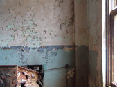 Enlarge photo 77