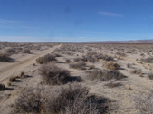 Enlarge photo 45