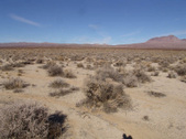 Enlarge photo 46
