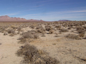 Enlarge photo 47