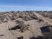 Enlarge photo 48