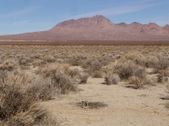 Enlarge photo 44