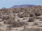 Enlarge photo 49