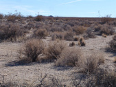 Enlarge photo 50