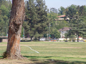 Enlarge photo 30