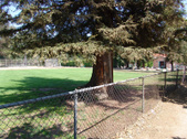 Enlarge photo 34