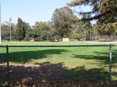 Enlarge photo 35