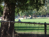 Enlarge photo 36