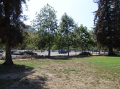 Enlarge photo 37