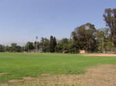 Enlarge photo 39