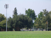 Enlarge photo 43