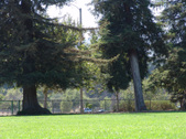 Enlarge photo 44