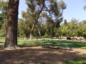 Enlarge photo 45