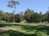 Enlarge photo 46