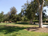 Enlarge photo 47