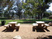 Enlarge photo 49
