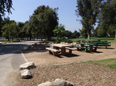 Enlarge photo 51
