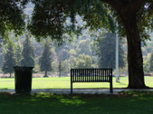Enlarge photo 52