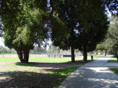 Enlarge photo 54